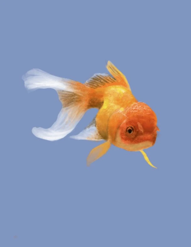 digital-goldfish